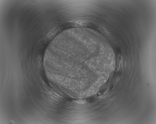X0000055970318200509091451
