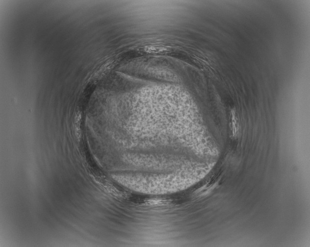 X0000055970319200509091451
