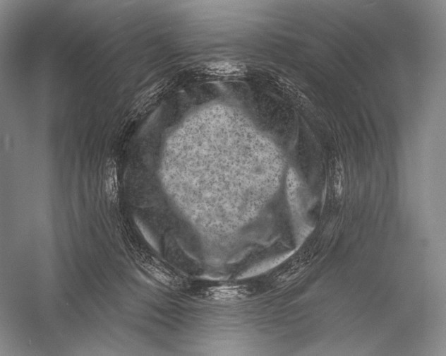 X0000055970320200509091451