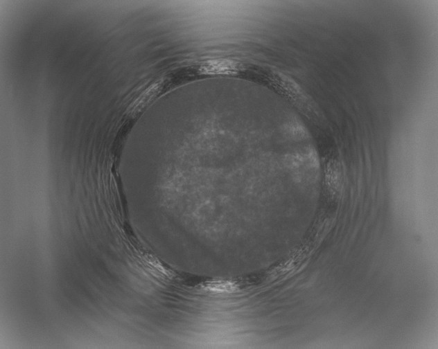 X0000055970322200509091451