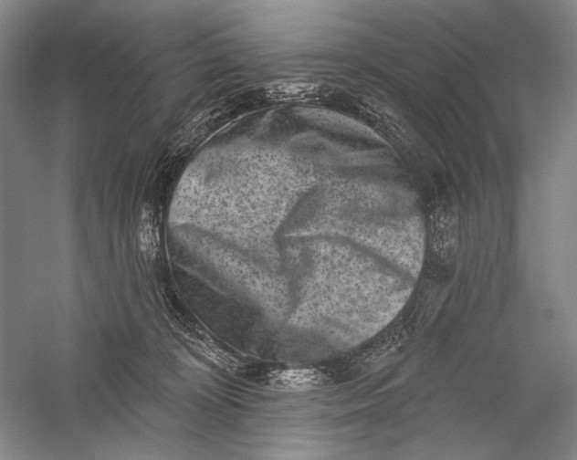 X0000055970324200509091451