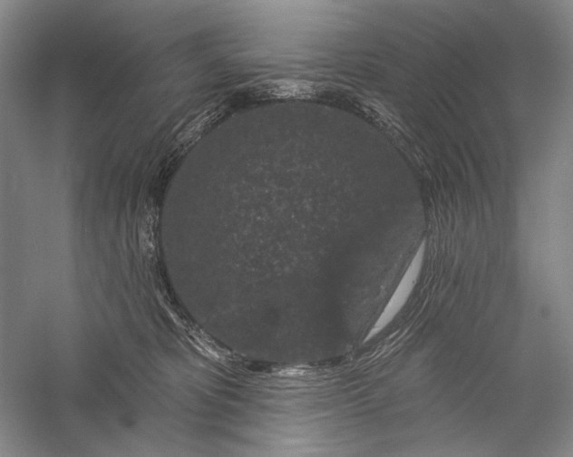 X0000055970325200509091451