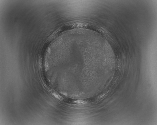 X0000055970326200509091451