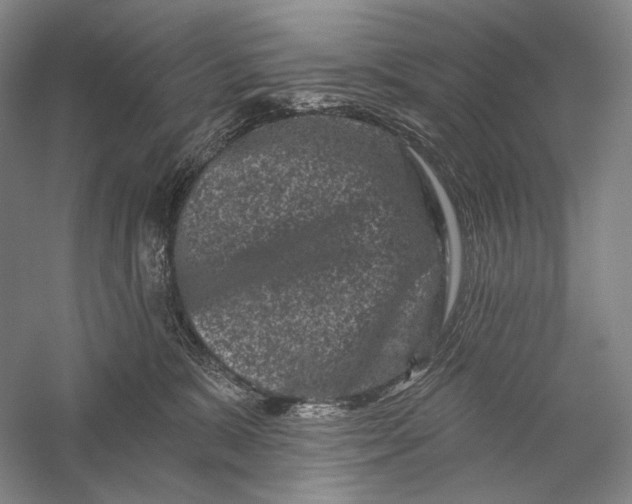 X0000055970327200509091451