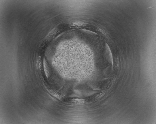 X0000055970328200509091450