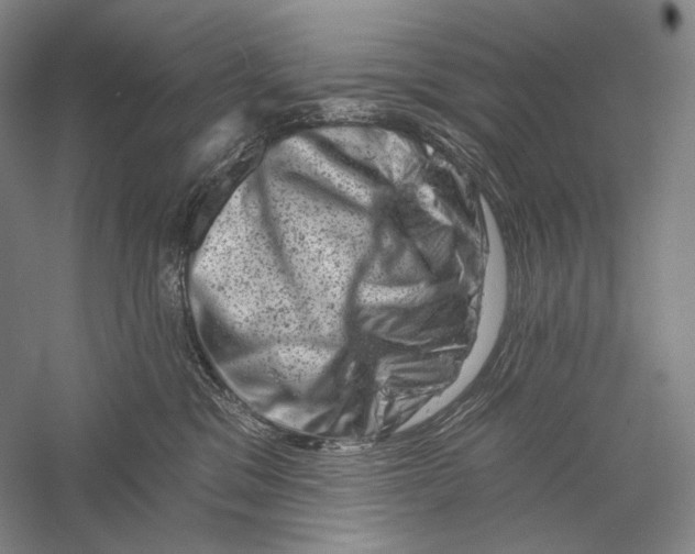 X0000055970329200509091450