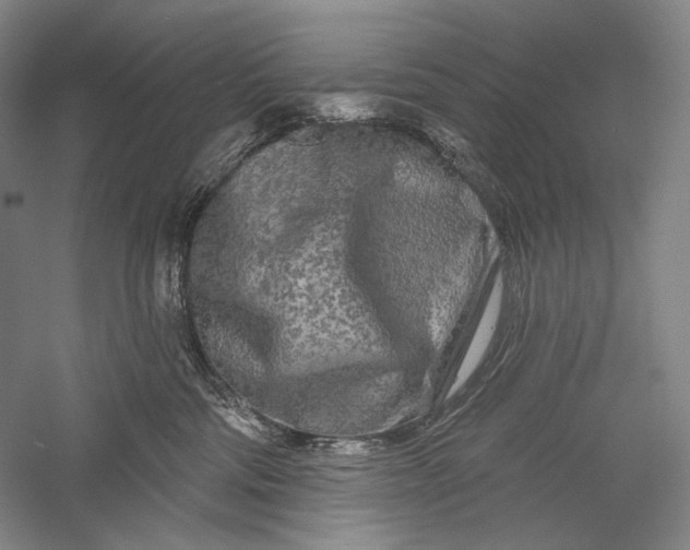 X0000055970330200509091450