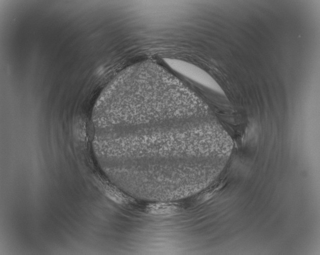 X0000055970331200509091450