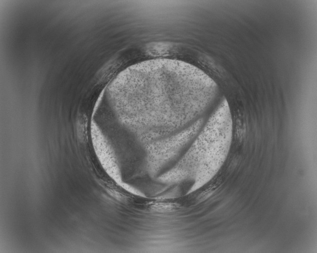 X0000055970332200509091450
