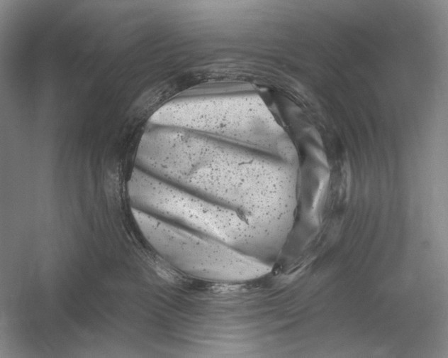 X0000055970333200509091450