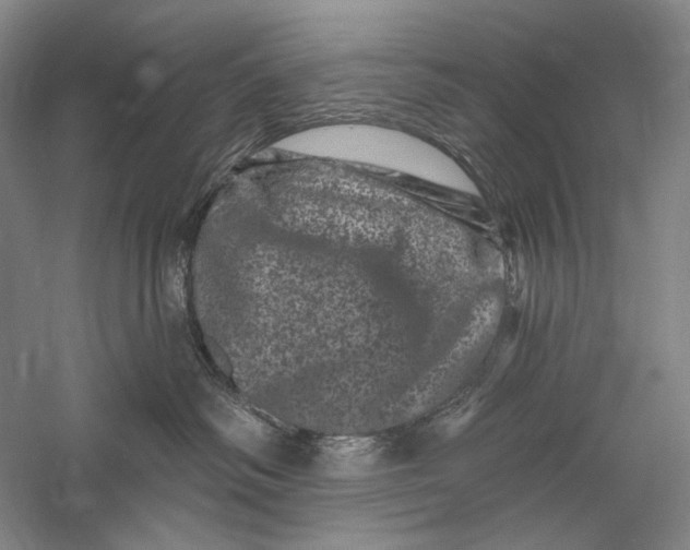 X0000055970334200509091450