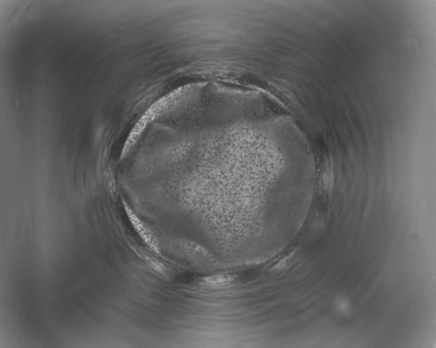 X0000055970335200509091450