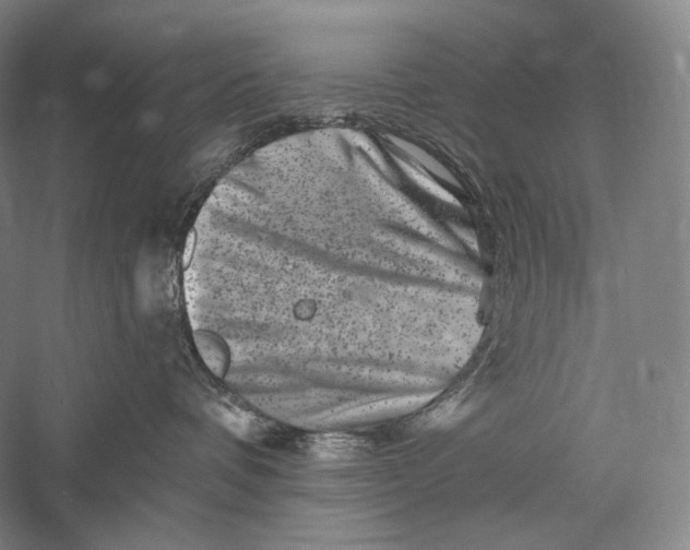 X0000055970336200509091450