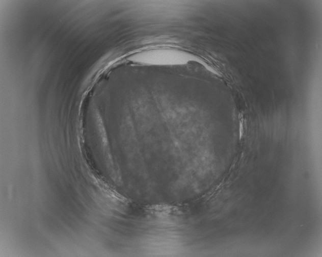 X0000055970339200509091450