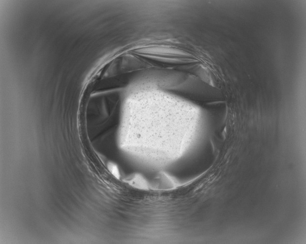 X0000055970340200509091450