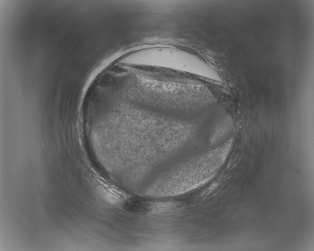X0000055970342200509091450