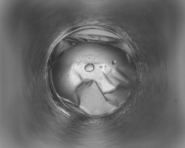 X0000055970344200509091450