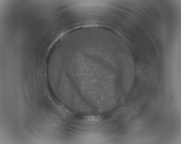 X0000055970347200509091450