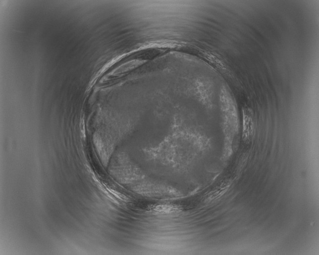 X0000055970348200509091450