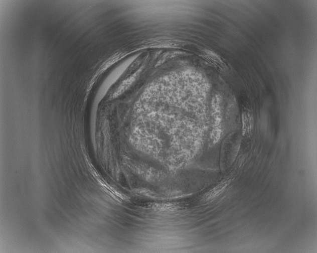 X0000055970349200509091450