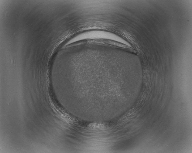 X0000055970354200509091450