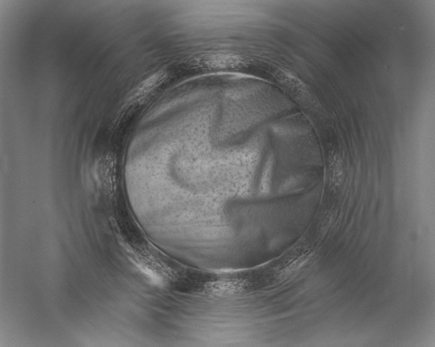 X0000055970356200509091450