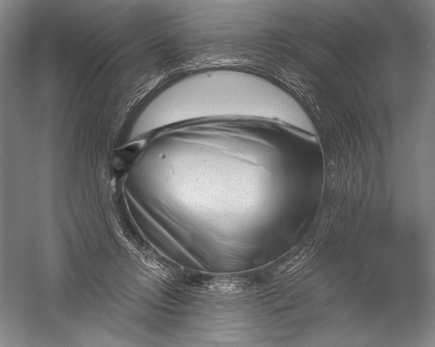 X0000055970358200509091450