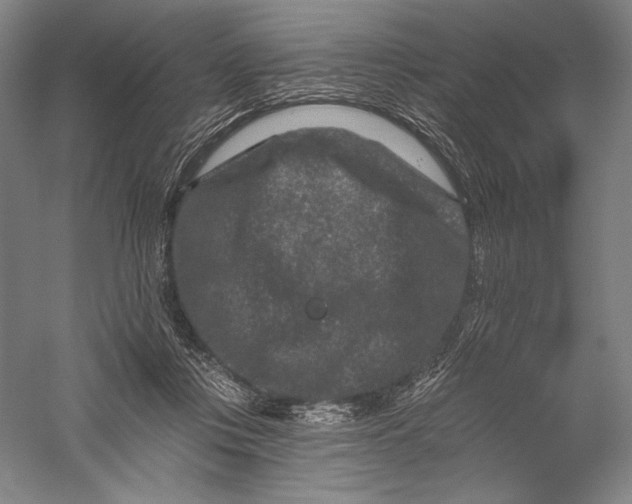 X0000055970359200509091450