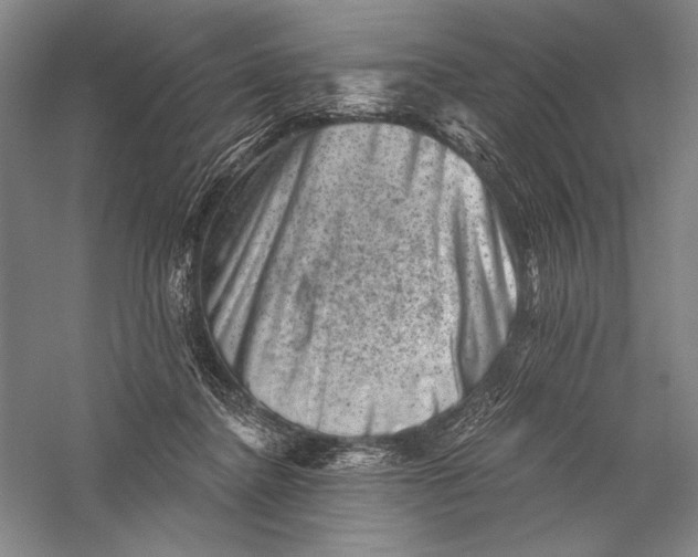 X0000055970364200509091450