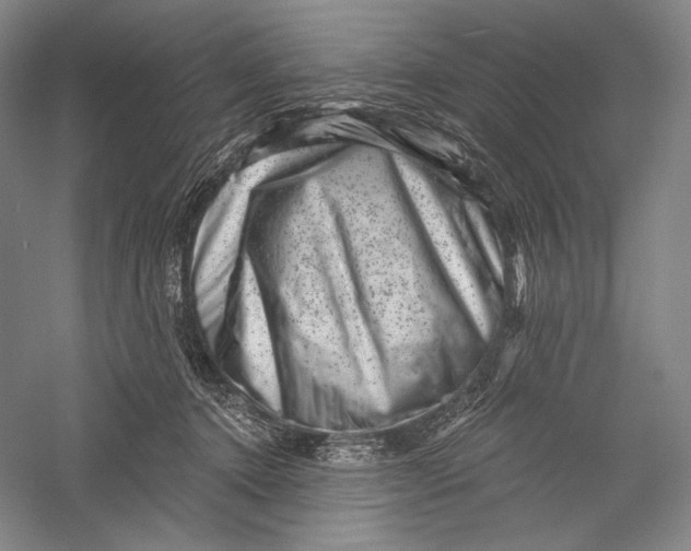 X0000055970368200509091450