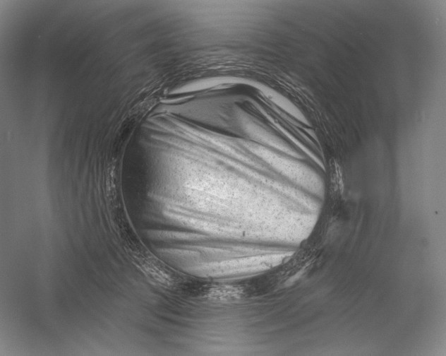 X0000055970369200509091450