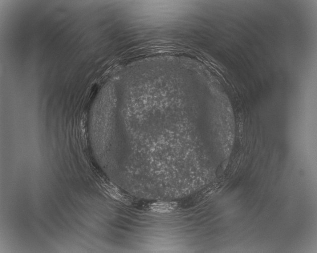 X0000055970373200509091450