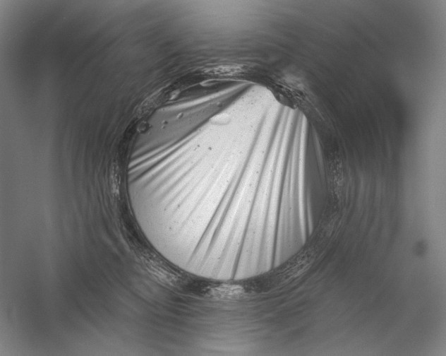 X0000055970374200509091450