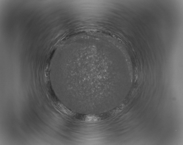 X0000055970376200509091450