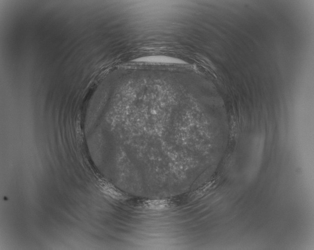 X0000055970377200509091450