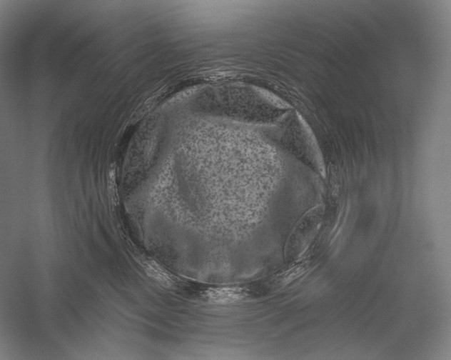 X0000055970378200509091450