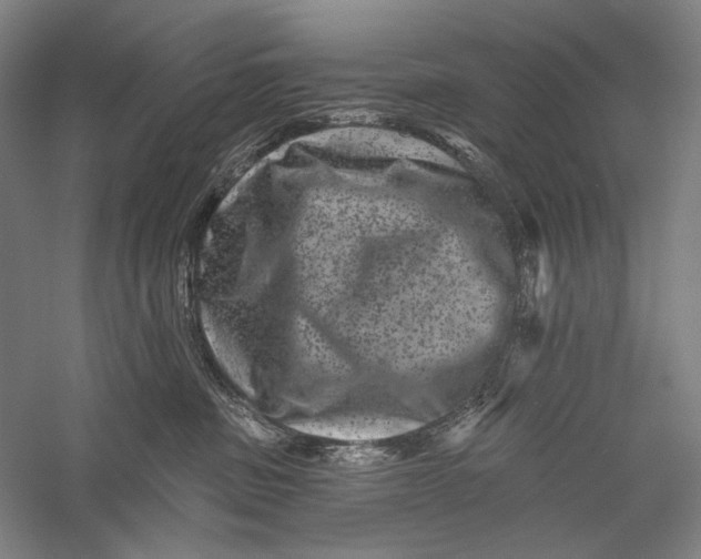 X0000055970379200509091450
