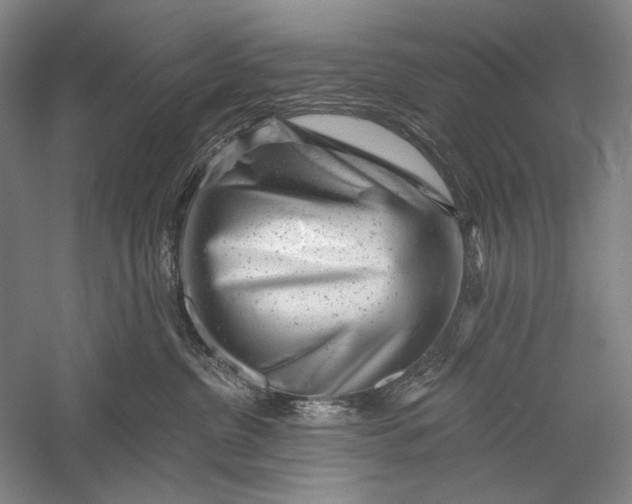 X0000055970380200509091450