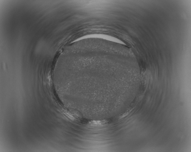 X0000055970381200509091450