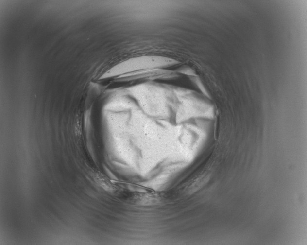 X0000055970384200509091450