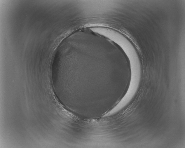X0000055970385200509091450