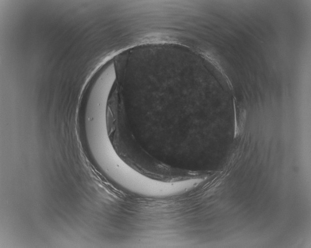 X0000055970387200509091449