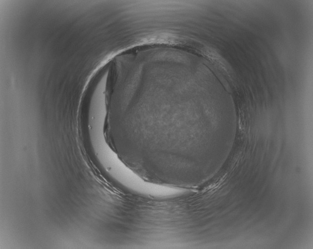 X0000055970388200509091449