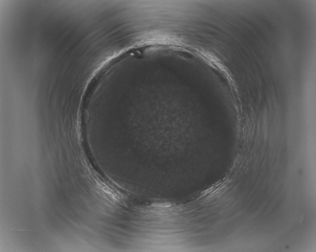 X0000055970391200509091449
