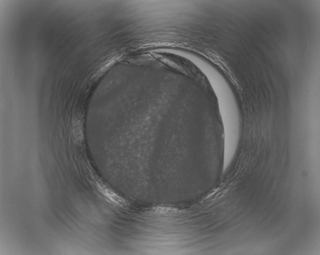 X0000055970393200509091449