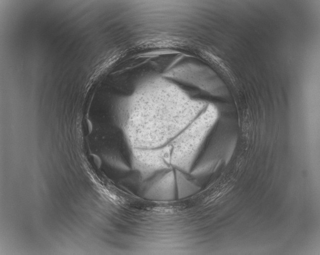X0000055970394200509091449
