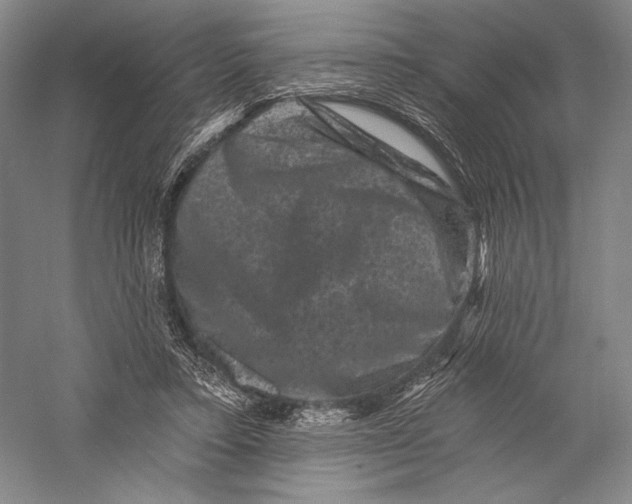 X0000055970403200509091449