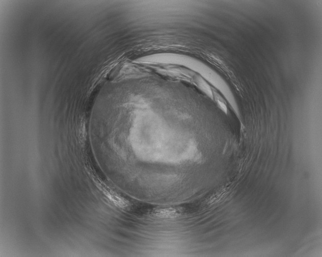 X0000055970405200509091449