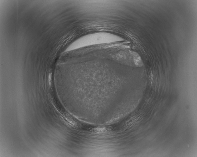 X0000055970406200509091449