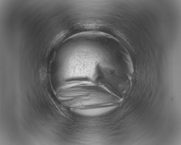 X0000055970407200509091449